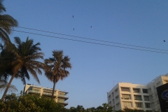 bandra church and bandra bandstand (30)