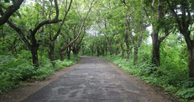 Aarey milk colony road