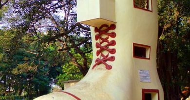 Kamala-Nehru-Park old leady shoe