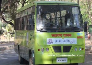 Tiger safari in sanjay gandhi national park2