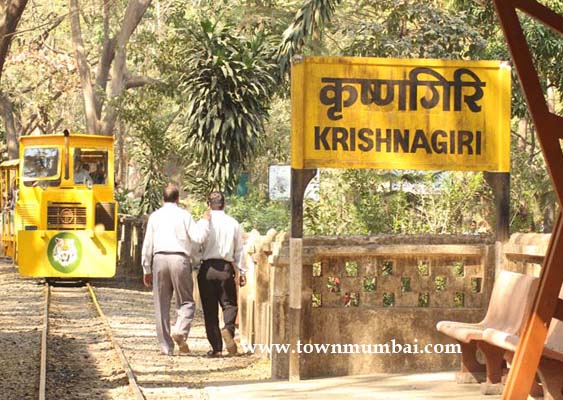 Toy train in Sanjay Gandhi National Park