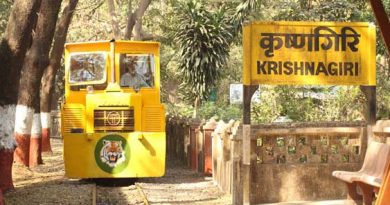 Vanrani -Toy train in sanjay gandhi national park6