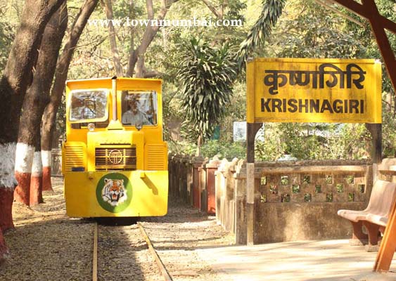 Vanrani -Toy train in sanjay gandhi national park6