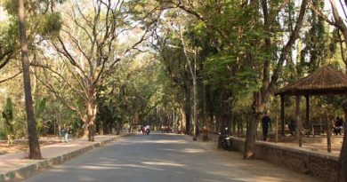 sanjay gandhi national park