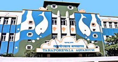 taraporewala-aquarium-mumbai